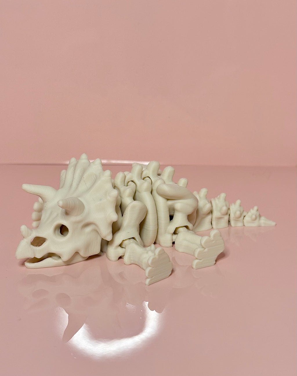 Skeleton Triceratops