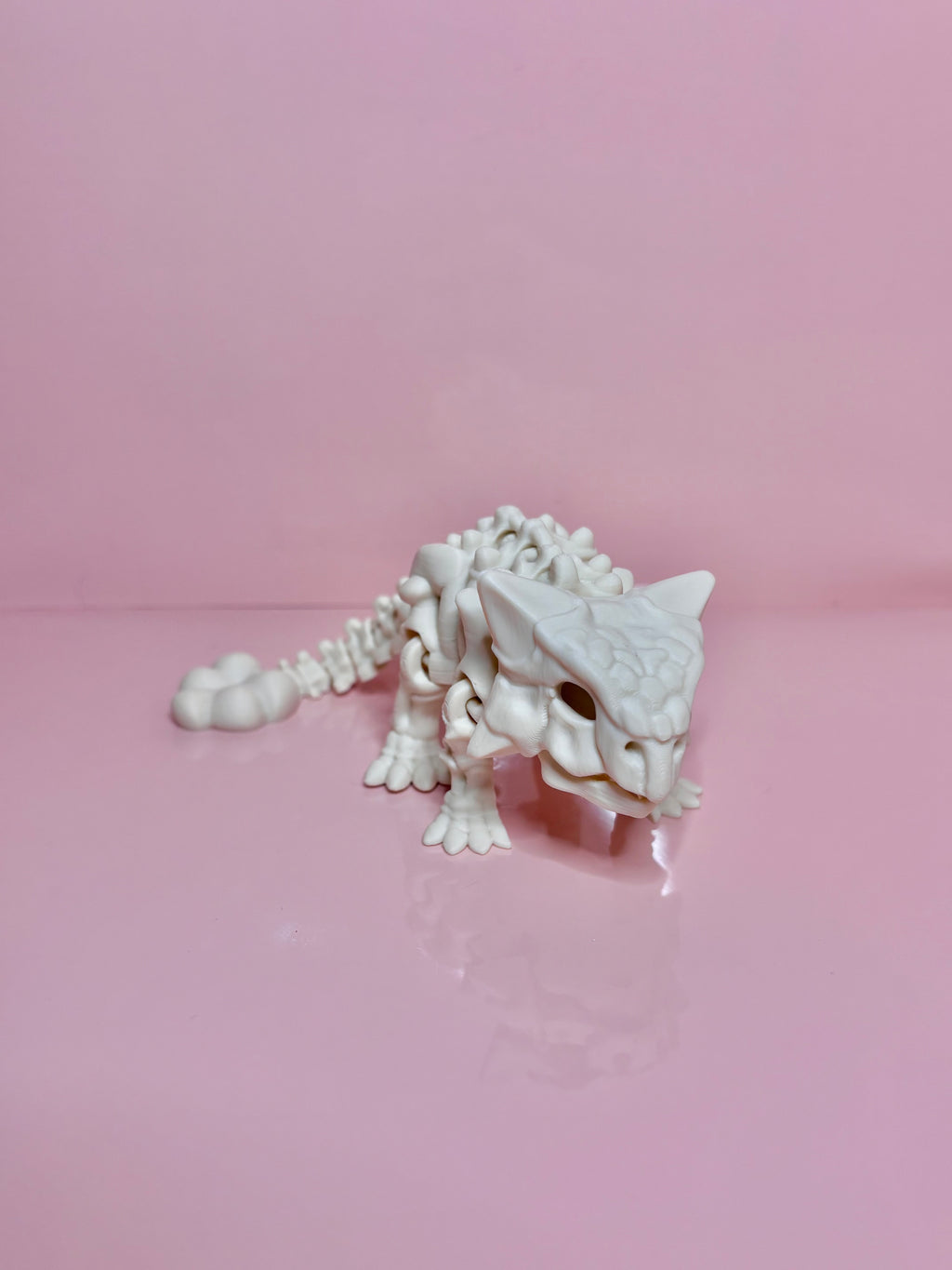 Skeleton Ankylosaurus