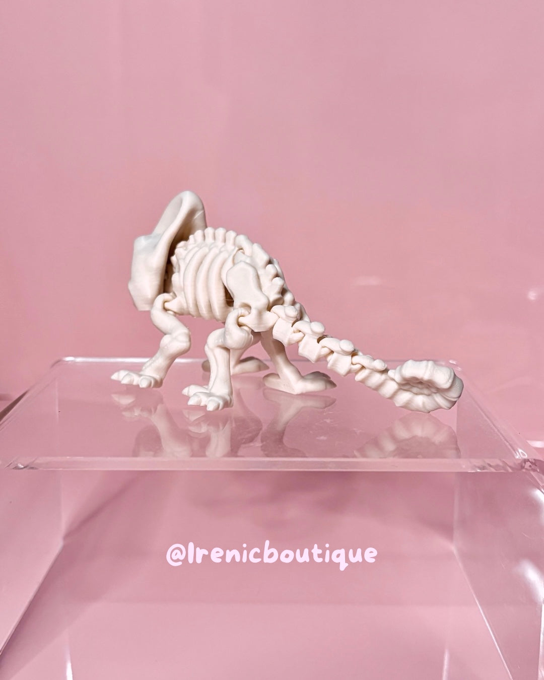 Skeleton Chameleon Toy