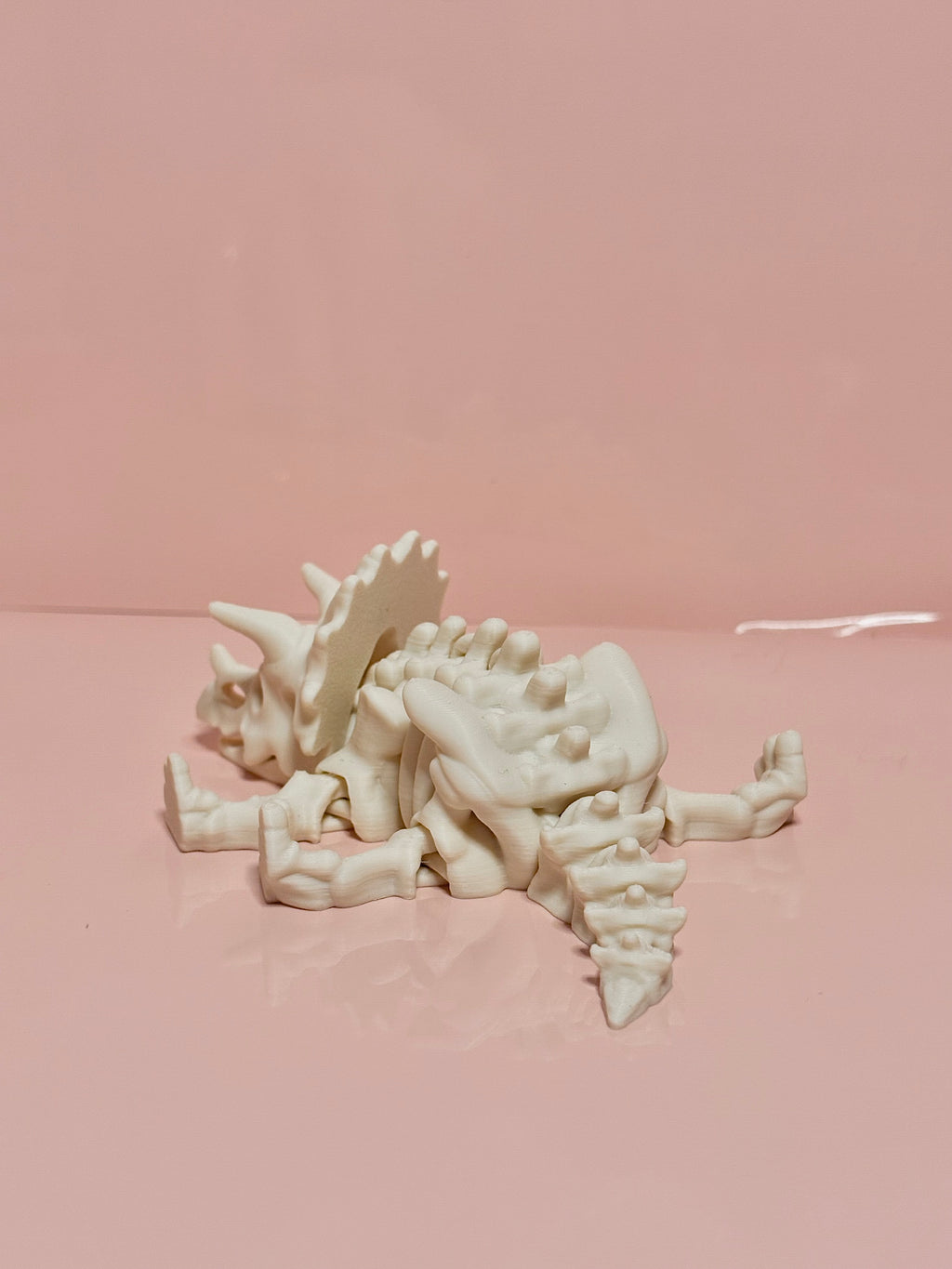 Skeleton Triceratops