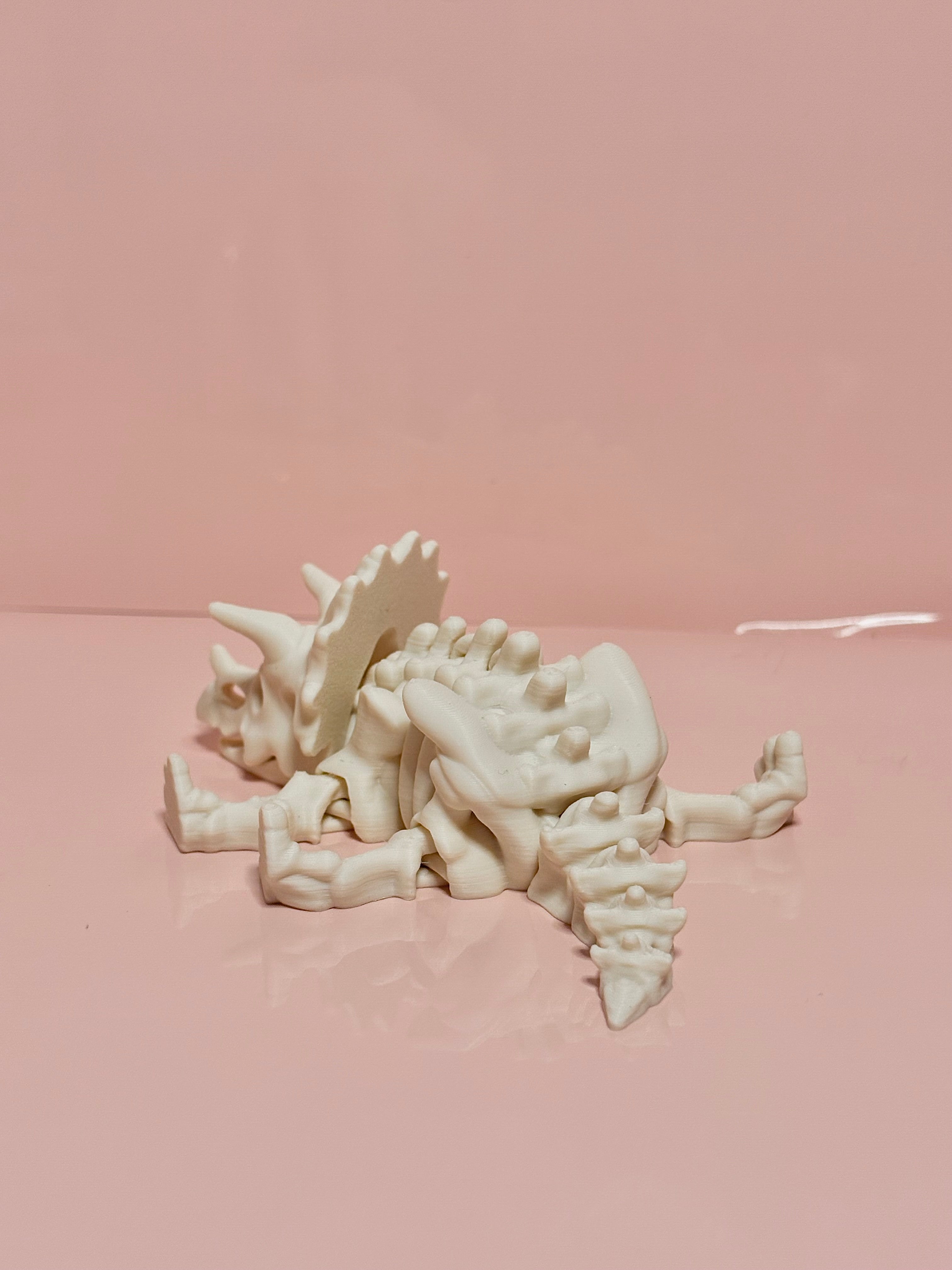 Skeleton Triceratops