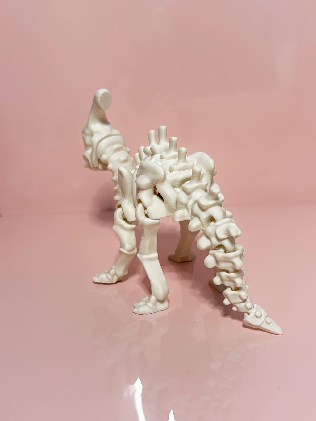 Skeleton Parasaurolophus