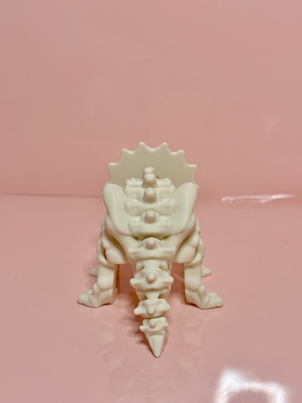 Skeleton Triceratops