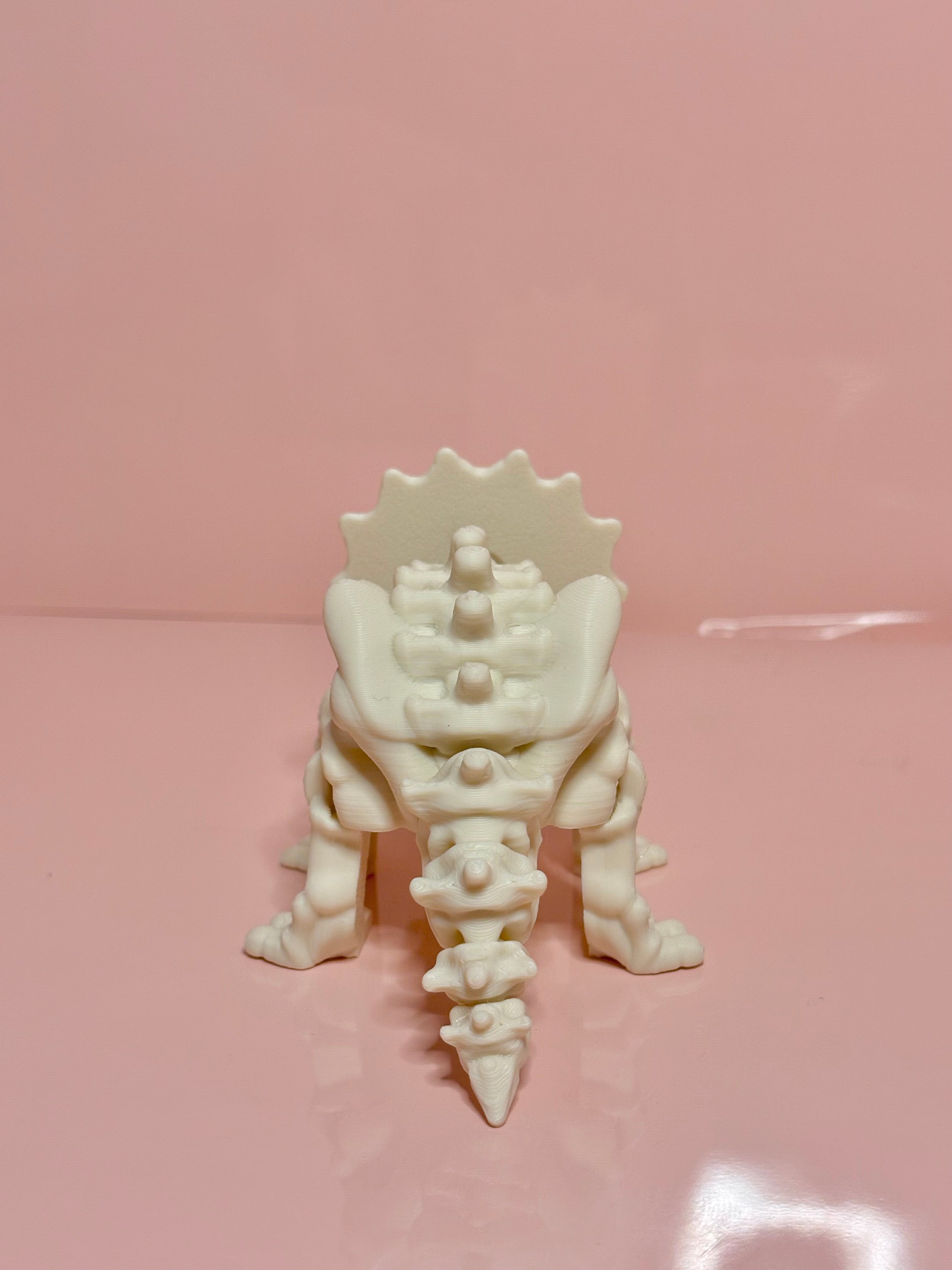 Skeleton Triceratops