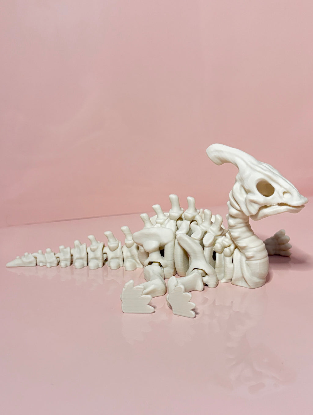 Skeleton Parasaurolophus