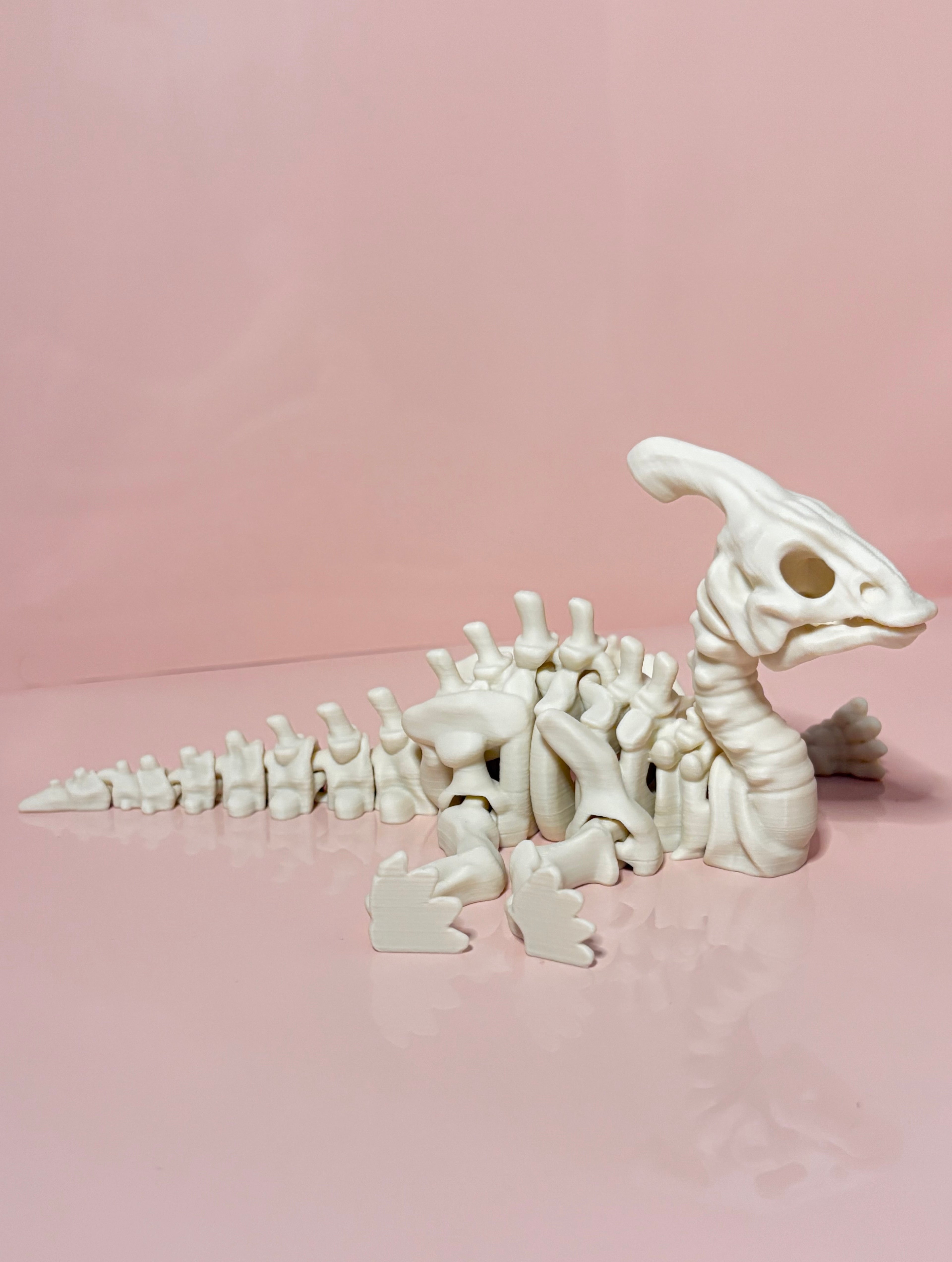 Skeleton Parasaurolophus