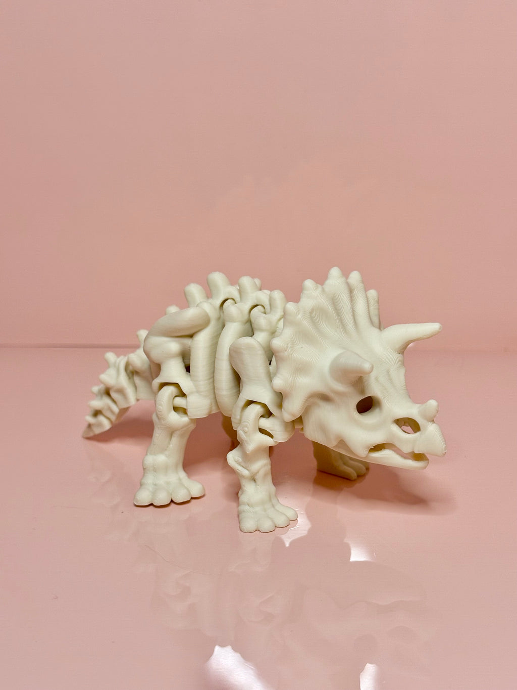 Skeleton Triceratops