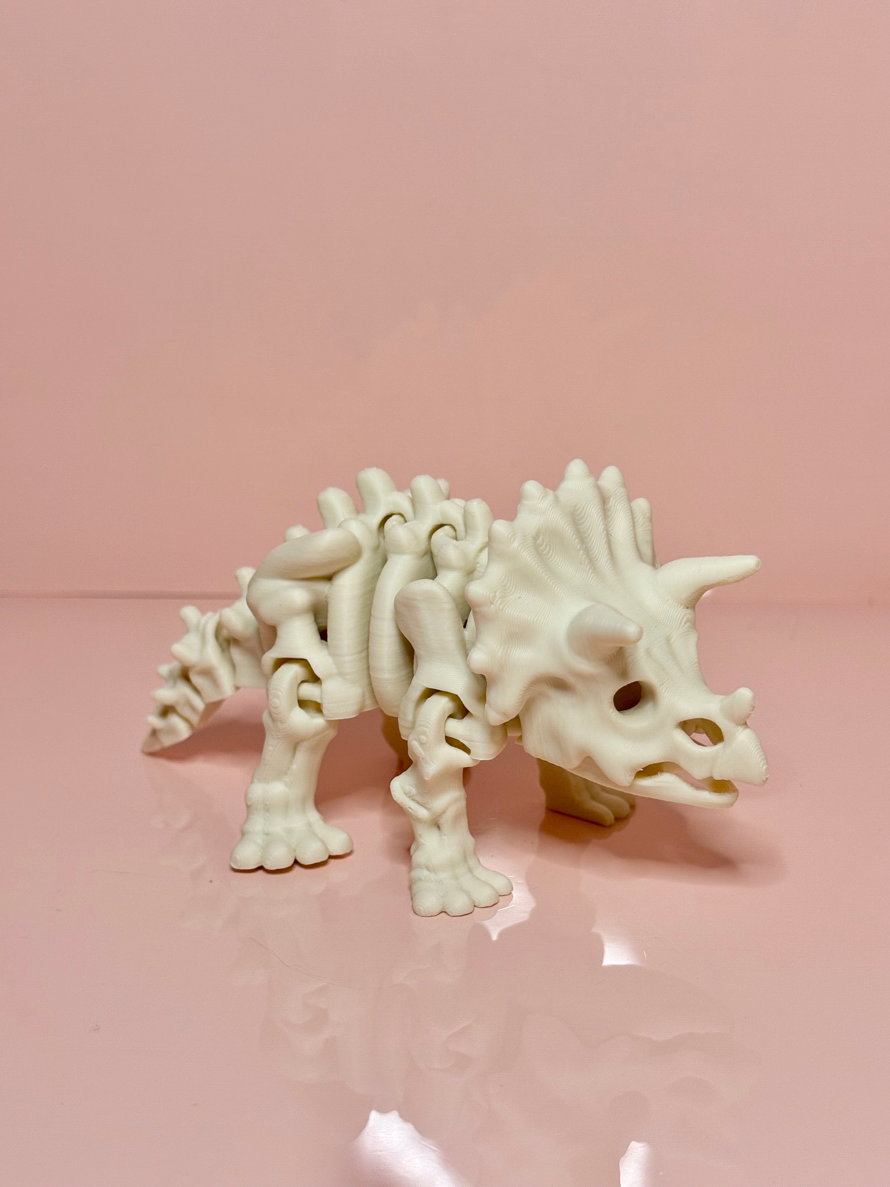 Skeleton Triceratops
